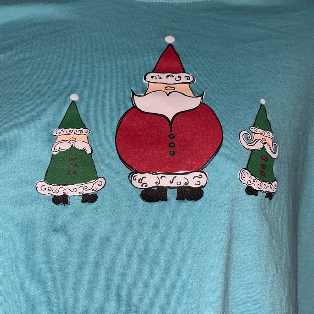 Alfred Dunner Holiday Sweatshirt.  Really cute detail.